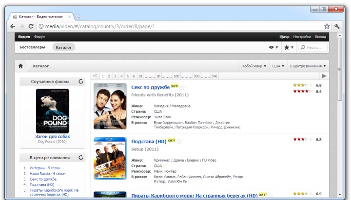 Video catalog application interface