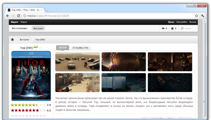 Video catalog application interface